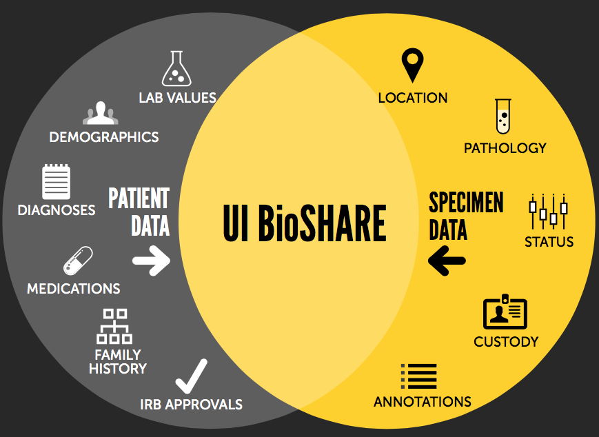 UI Bioshare venn diagram with icons showing patient data and specimen data that can go into UI BioSHARE.