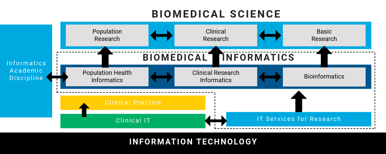 Biomedical informatics chart