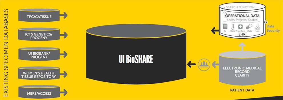 UI BioShare application screenshot