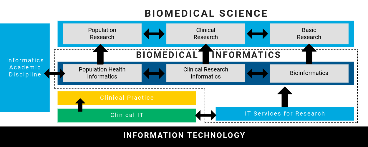 What is Biomedical