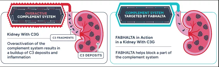 Fabhalta 