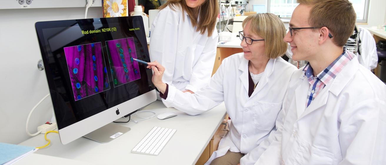 Lab photo from biomedicine program