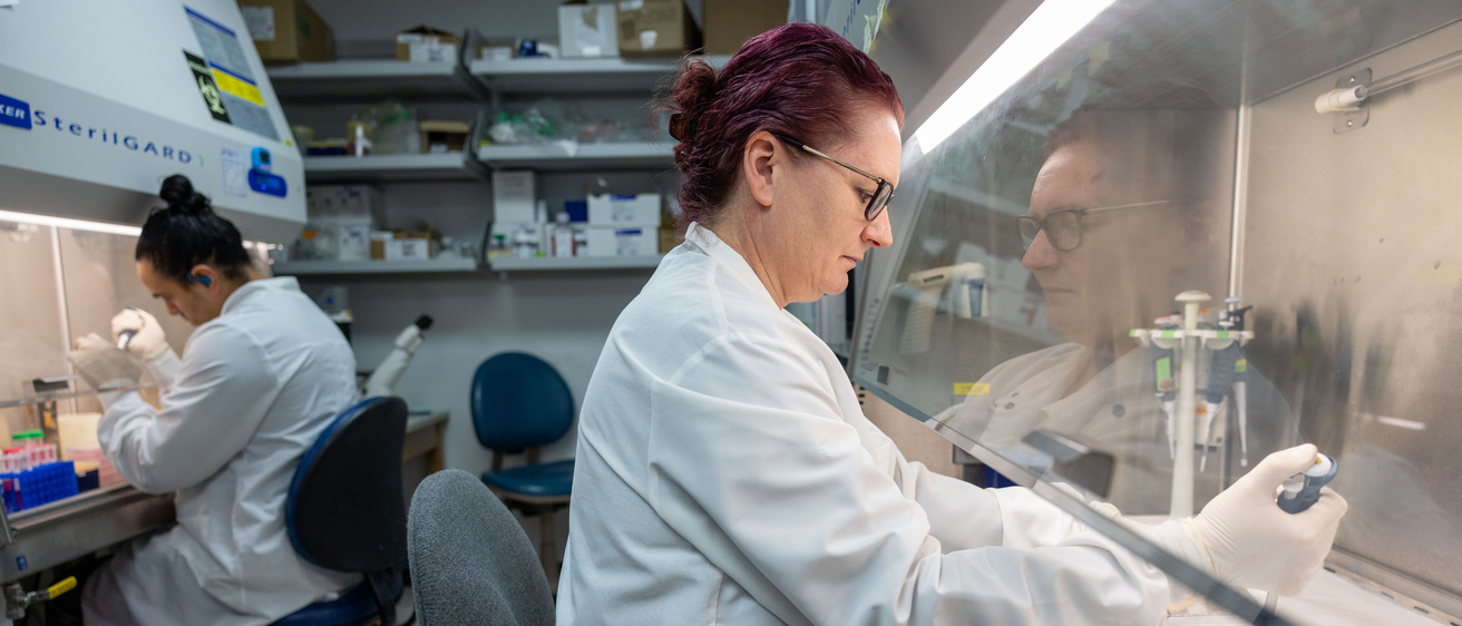 Amy Ryan lab 