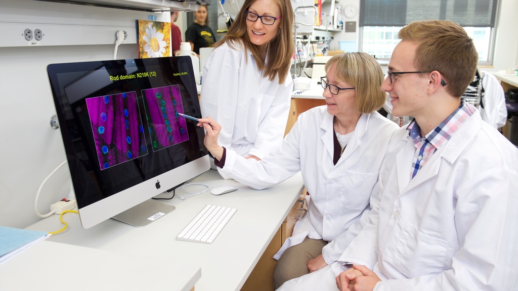 Lab photo from biomedicine program
